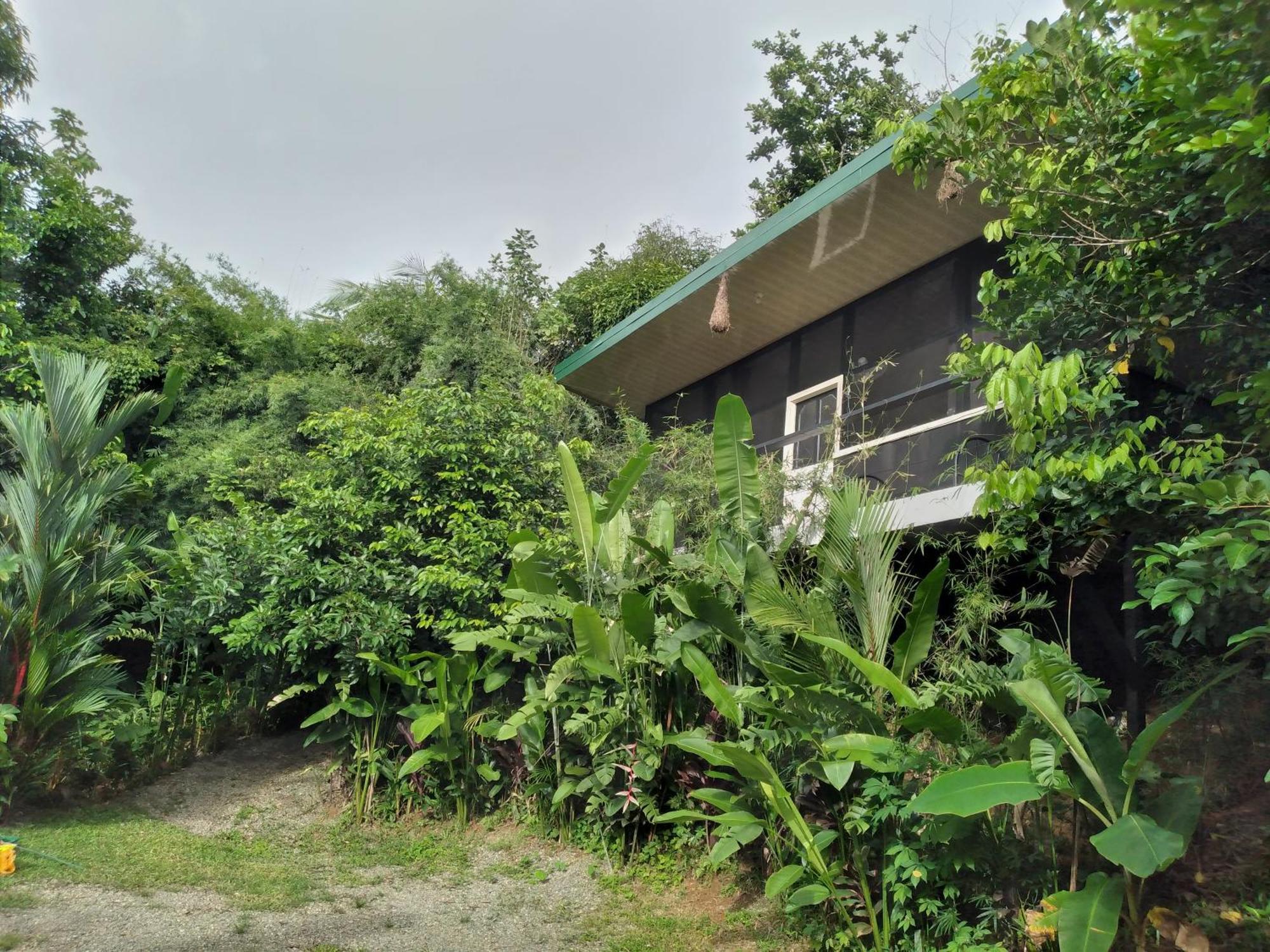 Cabinas Fave Uvita Dış mekan fotoğraf